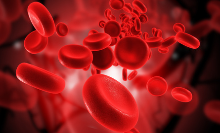 emf damages blood cells